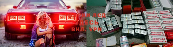 винт Бородино