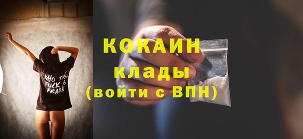 твердый Бронницы