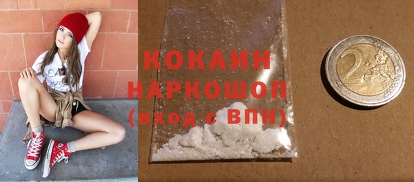 винт Бородино