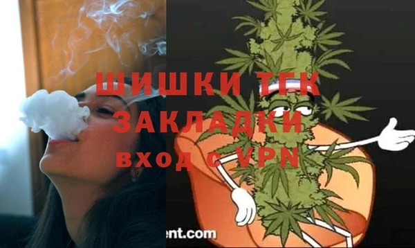 винт Бородино