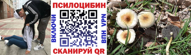 как найти закладки  Невьянск  darknet Telegram  Псилоцибиновые грибы Psilocybine cubensis 